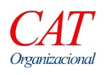 Cat Organizacional